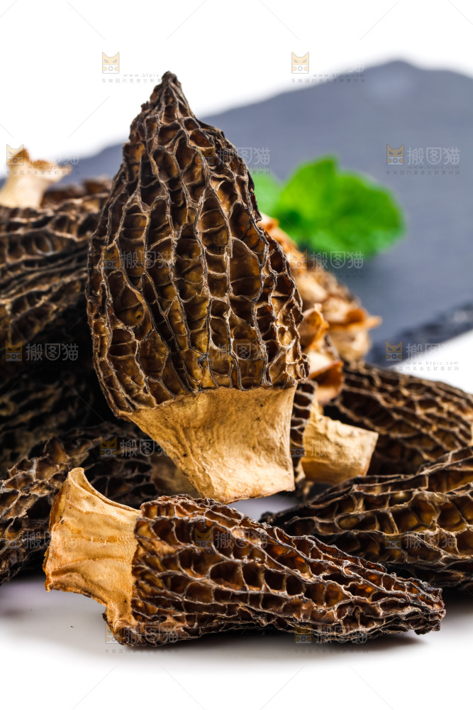 干羊肚菌放在浅底上