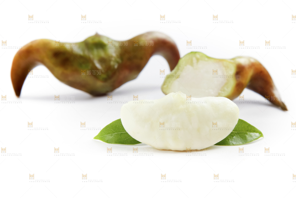 白底上的新鲜菱角