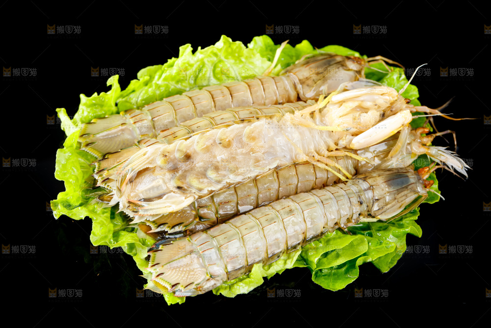 黑底上摆放着舟山皮皮虾