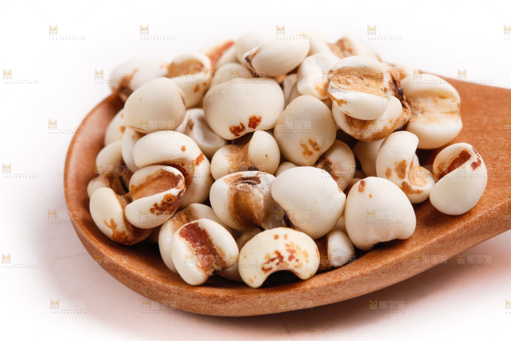 勺子里装着薏米