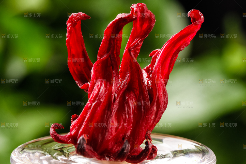 碟子里的玫瑰茄