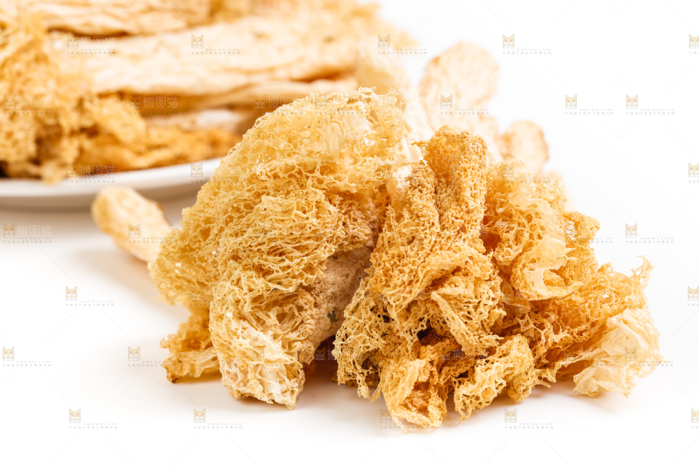 白底上的竹荪