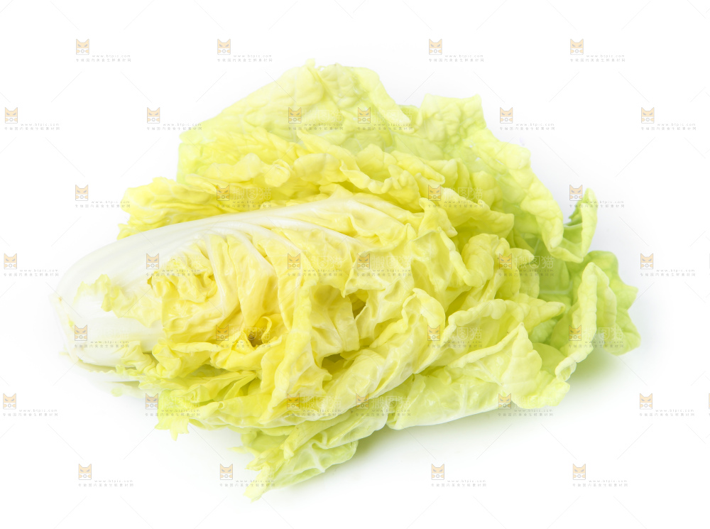 白底上放着大白菜