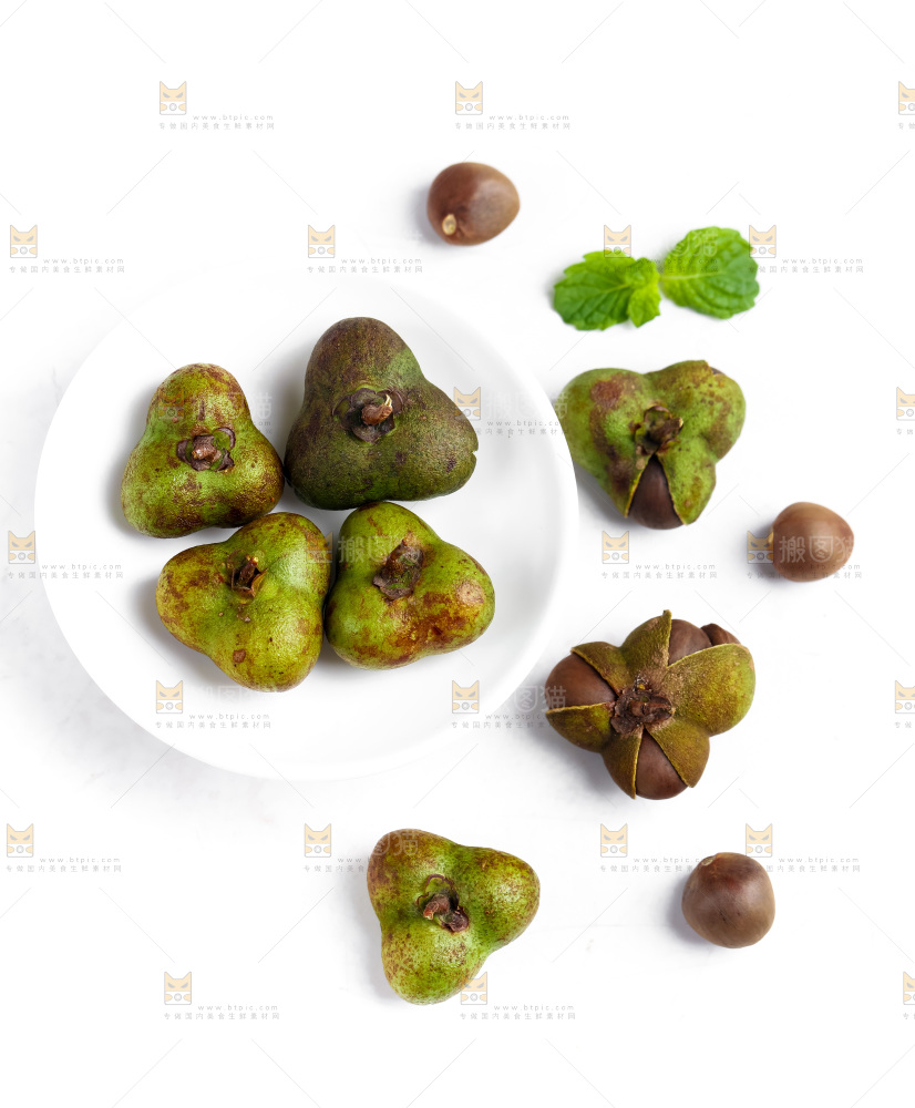 白底上摆放着茶树果