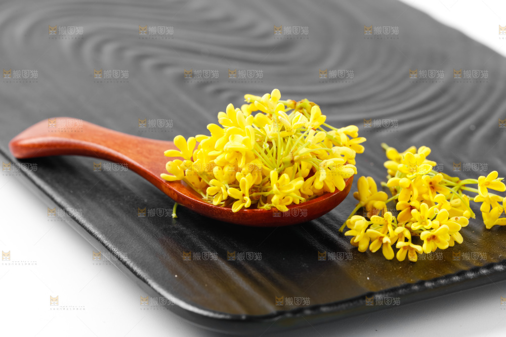 石板上的金桂花