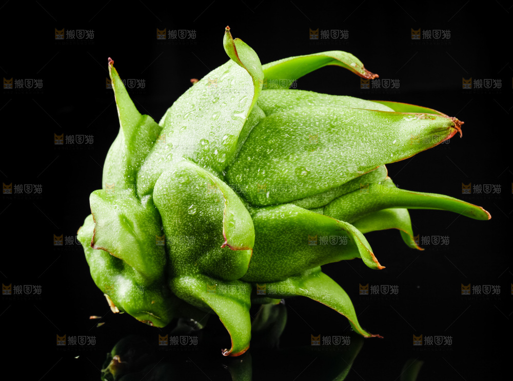 黑底上的火龙果