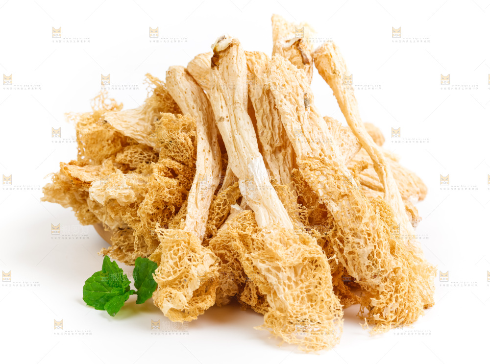 白底上的干竹荪