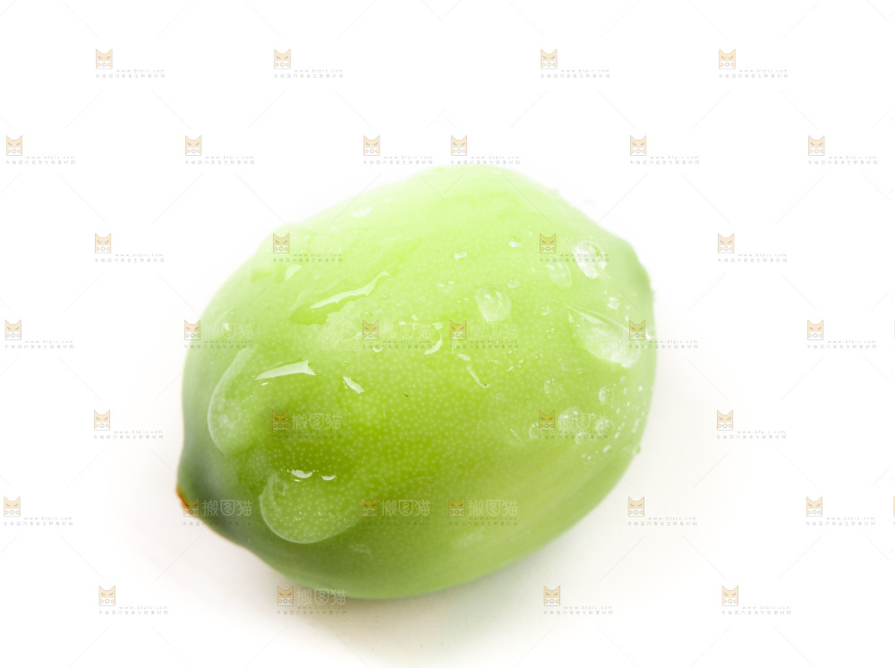 白底上的莲子