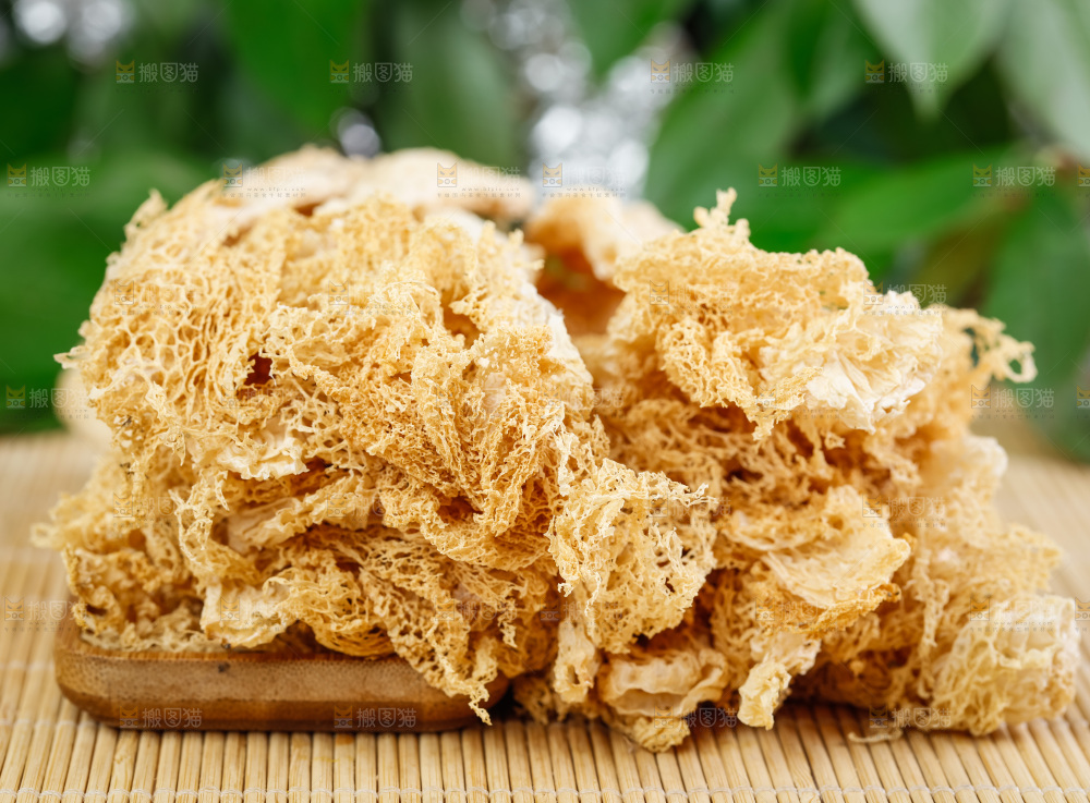 木底上放着古田竹荪