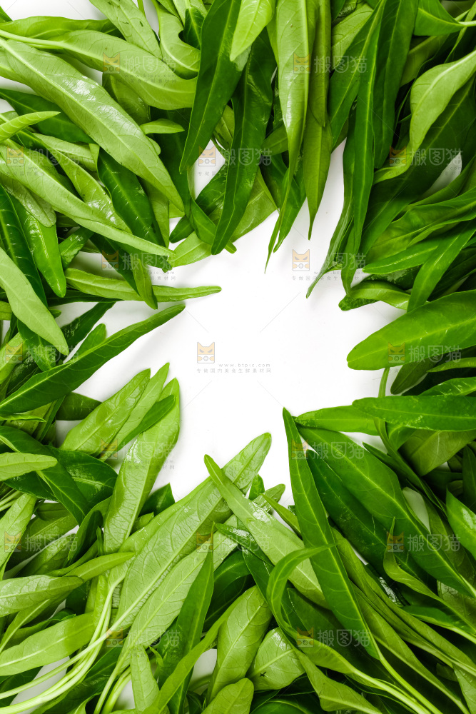 白底上放着新鲜空心菜