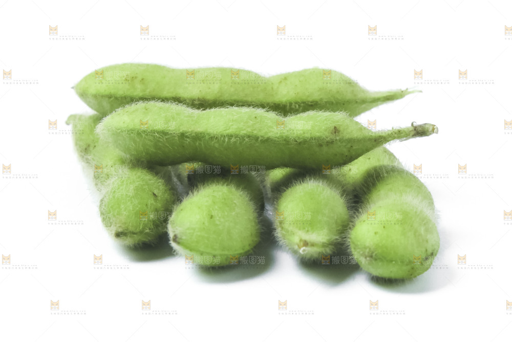 白底上的毛豆