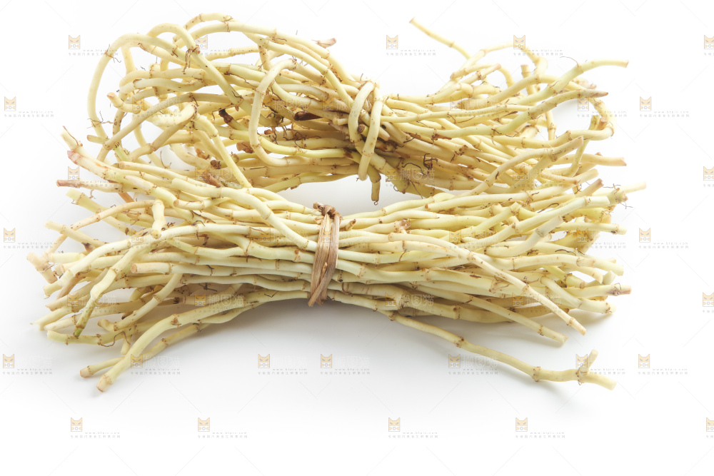 白底上的鱼腥草