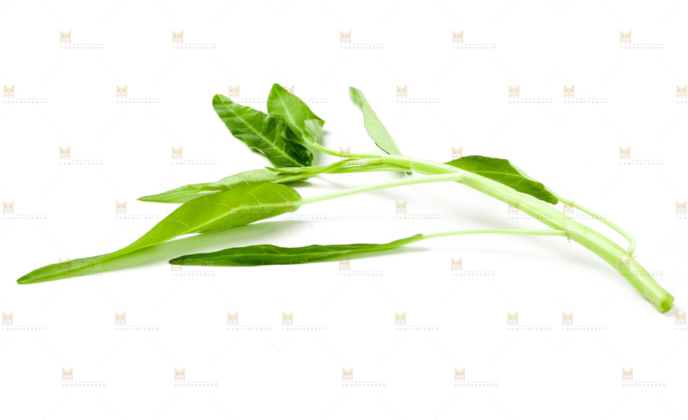 白底上放着新鲜空心菜