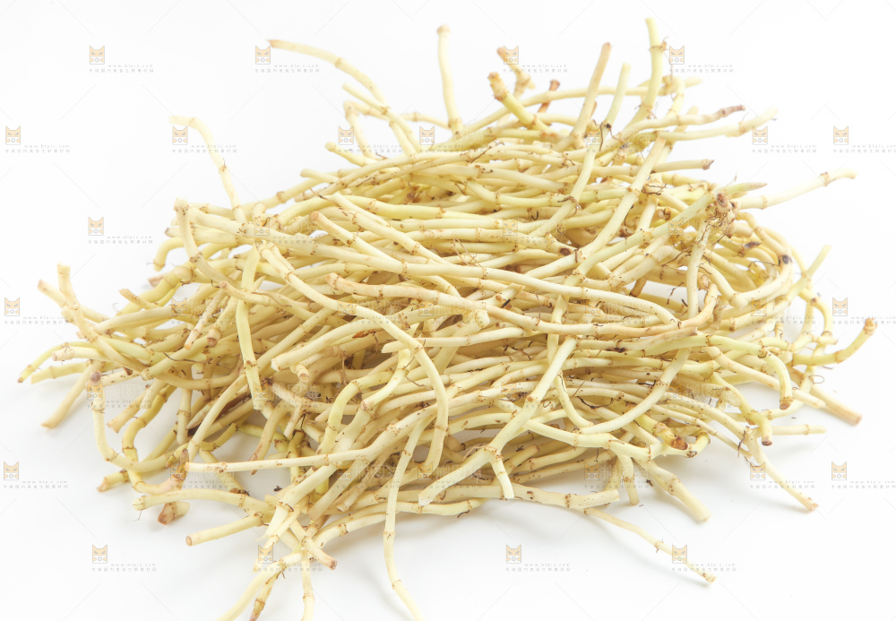 白底上的鱼腥草