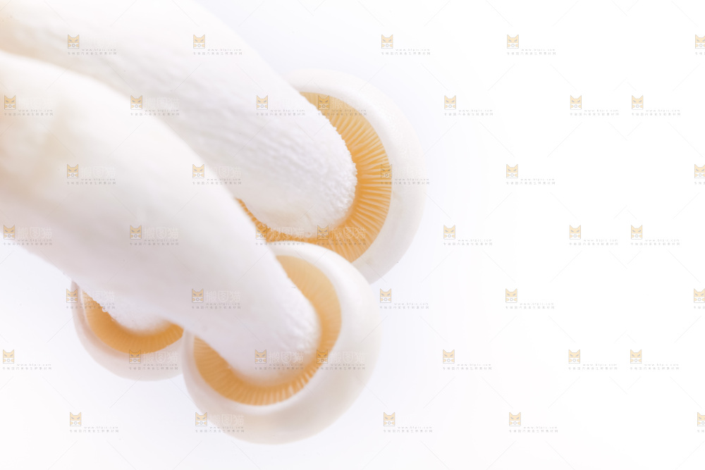 白底上放着白玉菇
