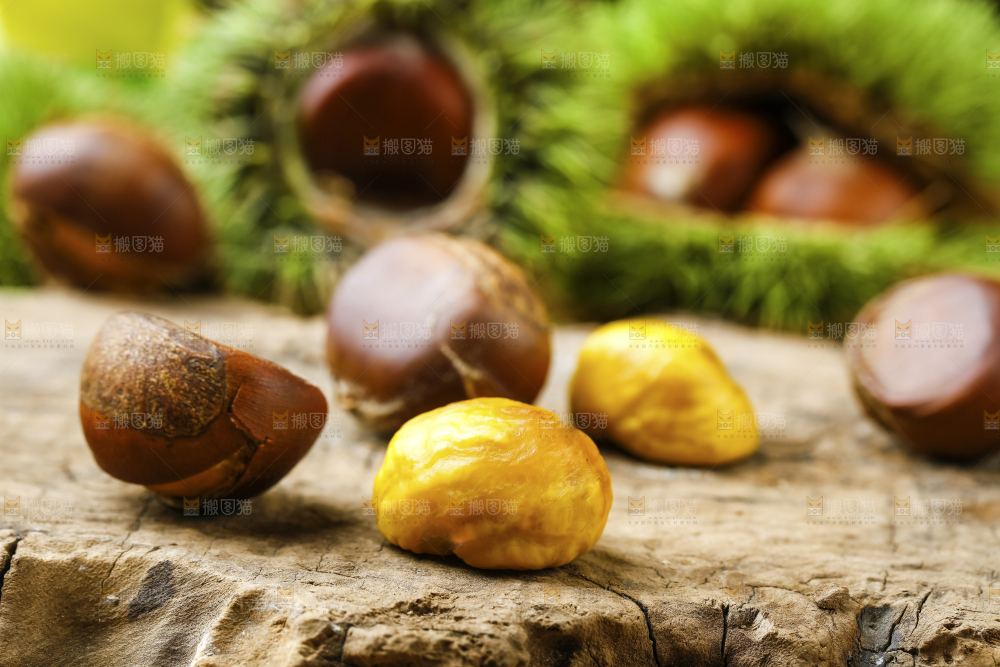 深底上放着新鲜板栗