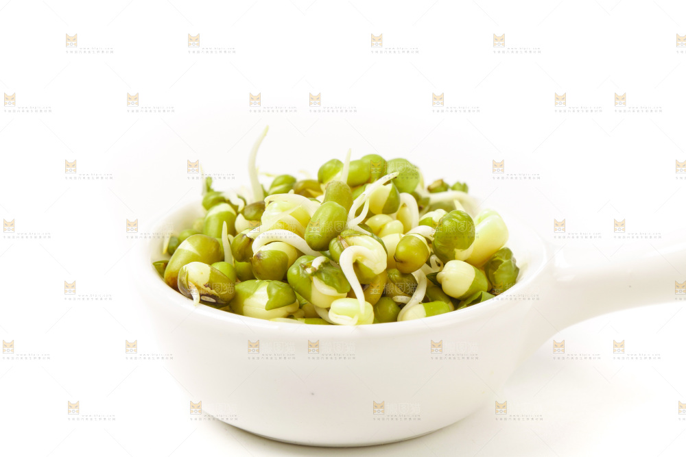 白底上的绿豆芽