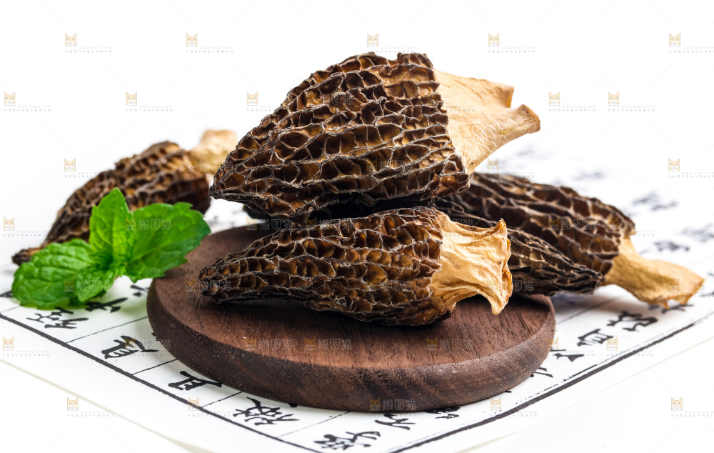 浅底上的云南羊肚菌