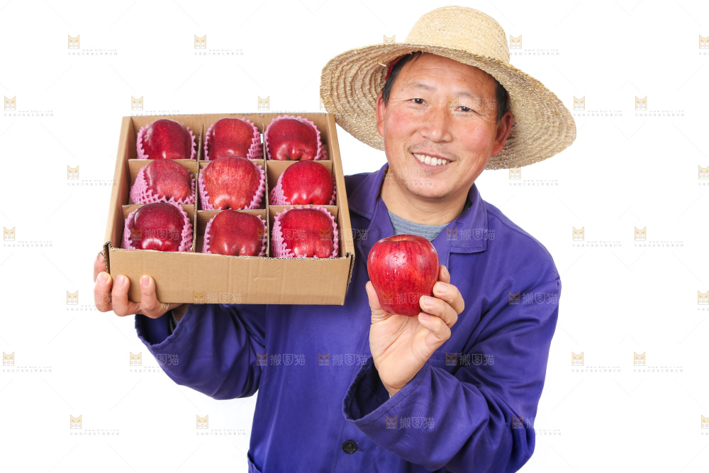 农民手里抱着花牛苹果