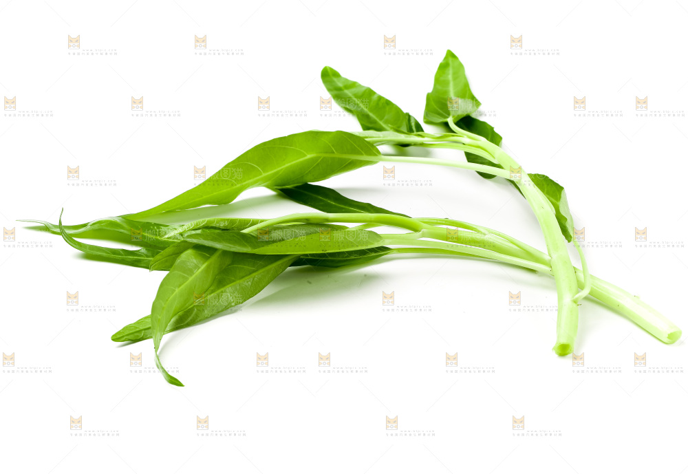 白底上放着新鲜空心菜