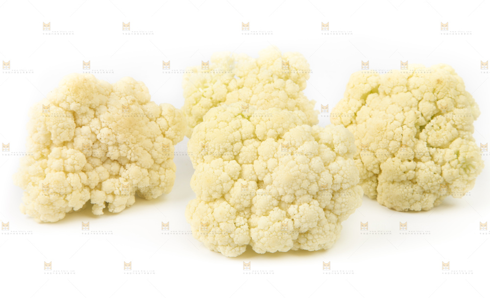 白底上的白花菜