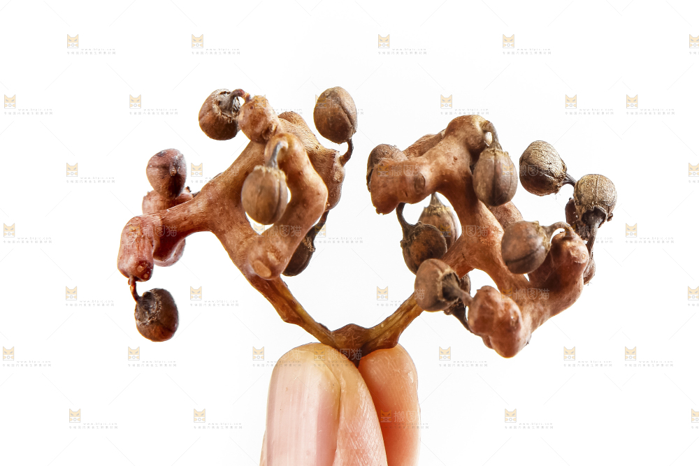 白底上放着拐枣果