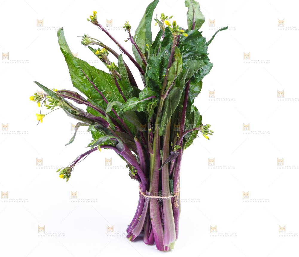 白底上放着紫菜苔