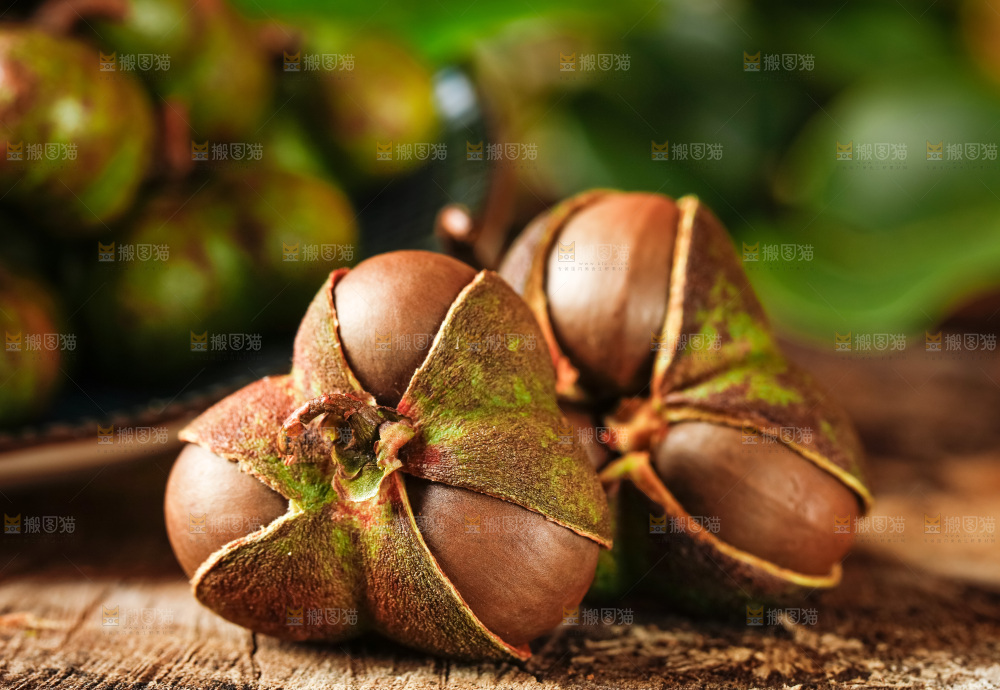 深底上的茶树果