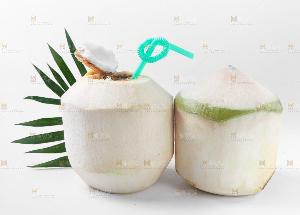 白底上青椰子