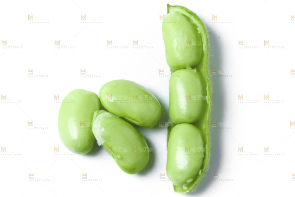 白底上的毛豆