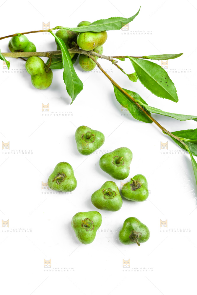 白底上摆放着茶叶子