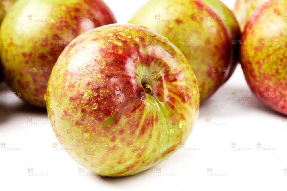 白底上的三华李