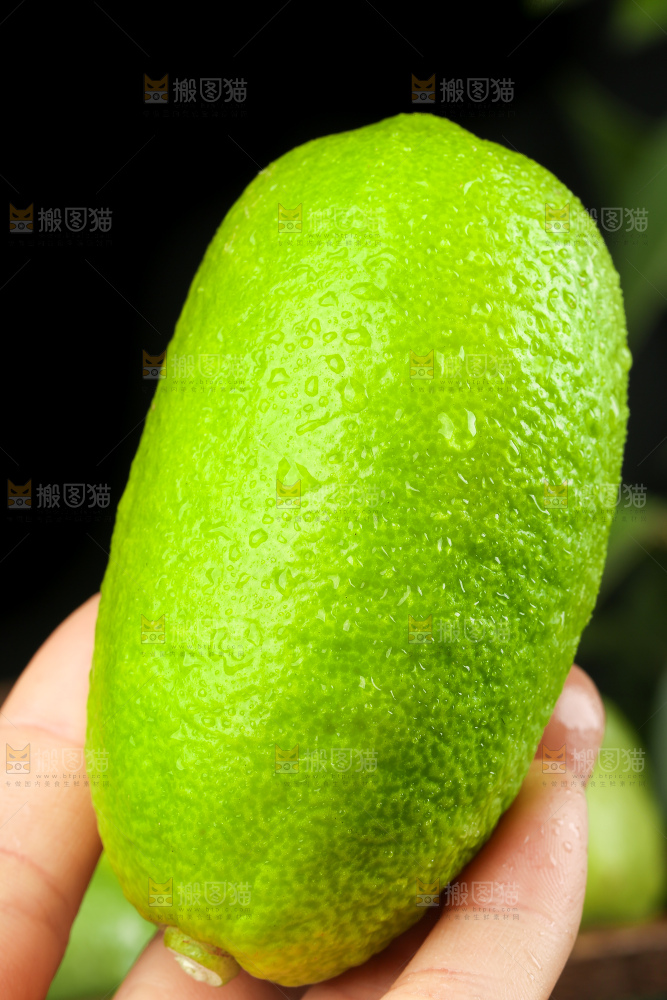 手里拿着新鲜香水柠檬
