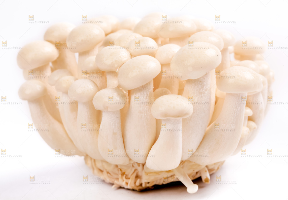 白底上放着白玉菇