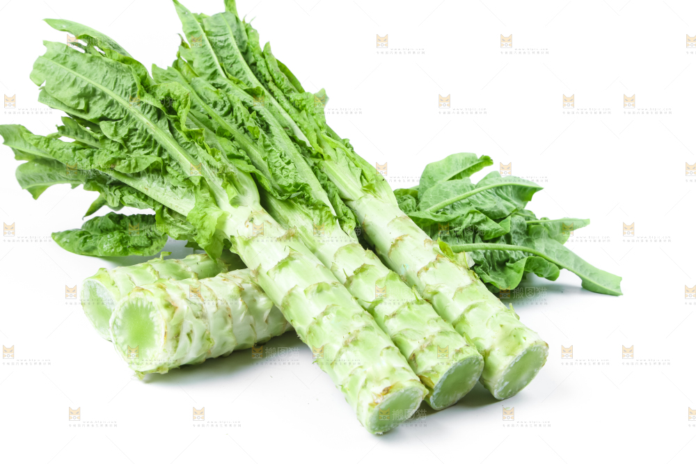 白底上的莴笋