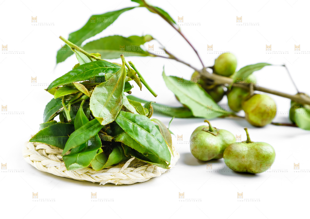 白底上放着绿茶叶