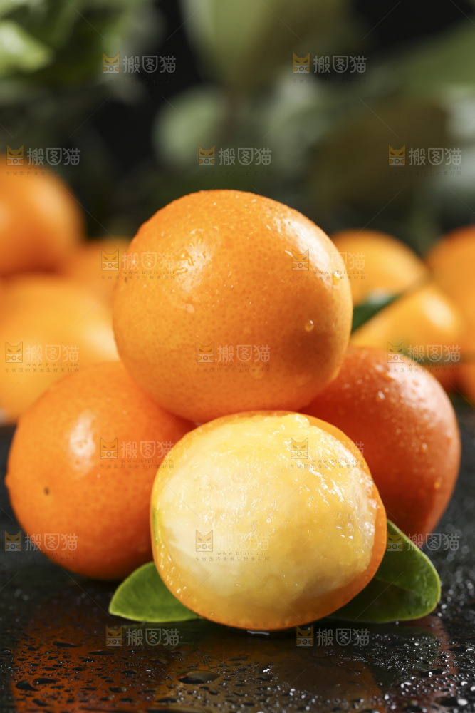 黑石板上的广西金钱橘