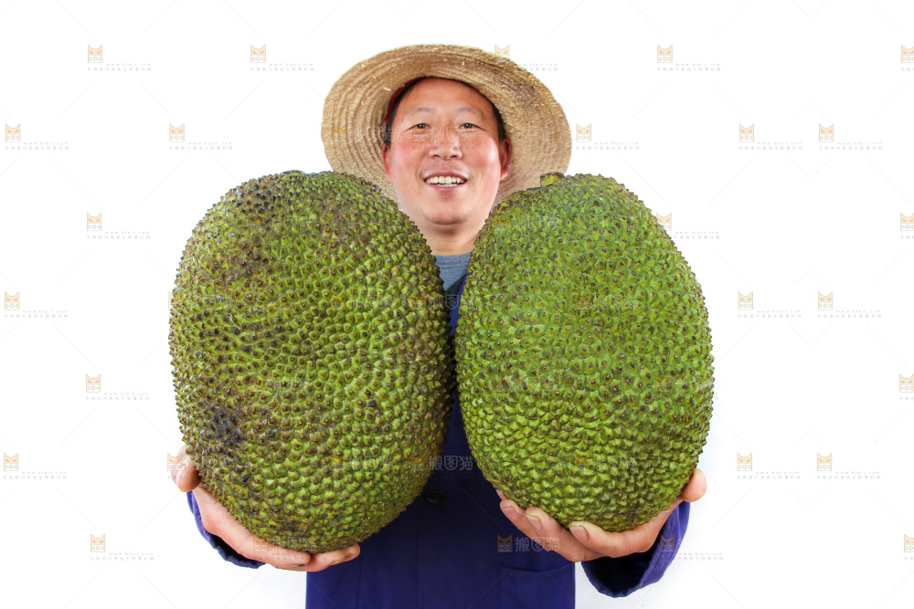 农民手里拿着菠萝蜜