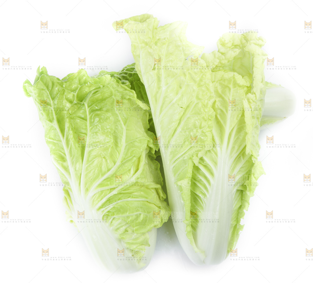 白底上放着大白菜