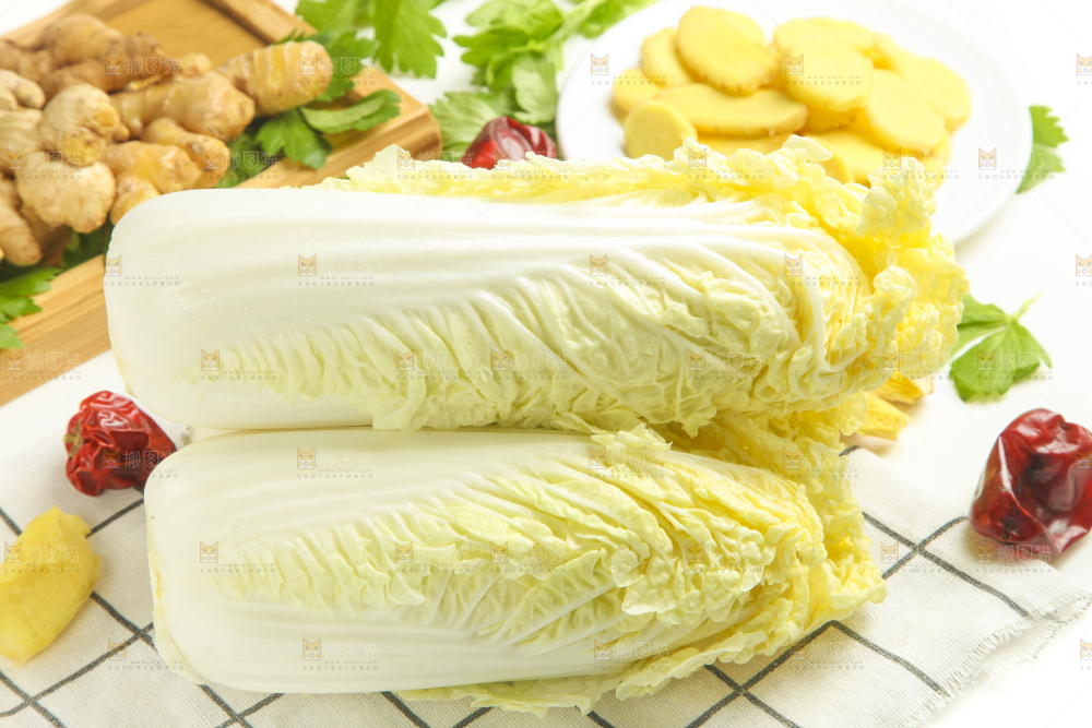 白格子底上的大白菜
