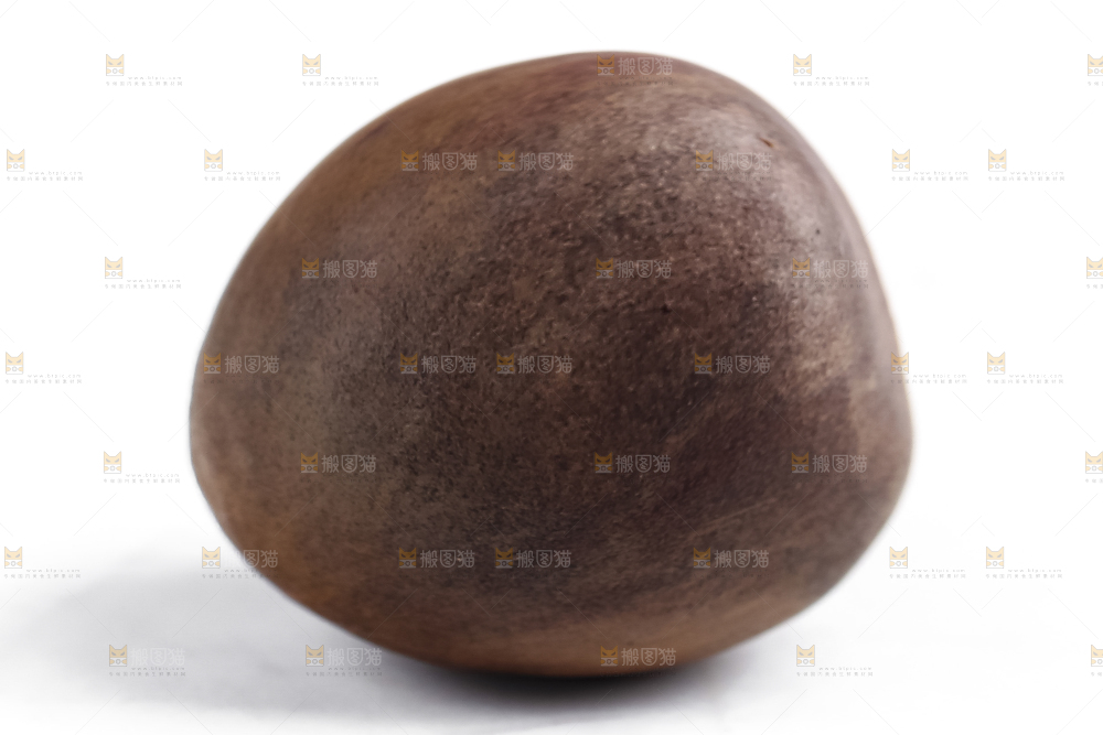 白底上摆放着茶树果