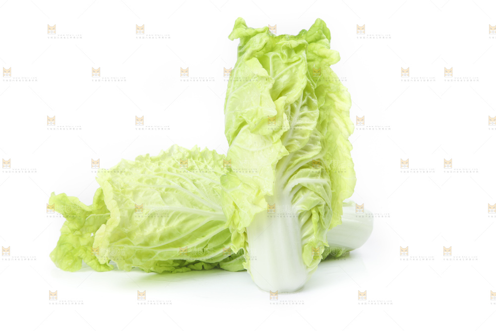 白底上放着大白菜