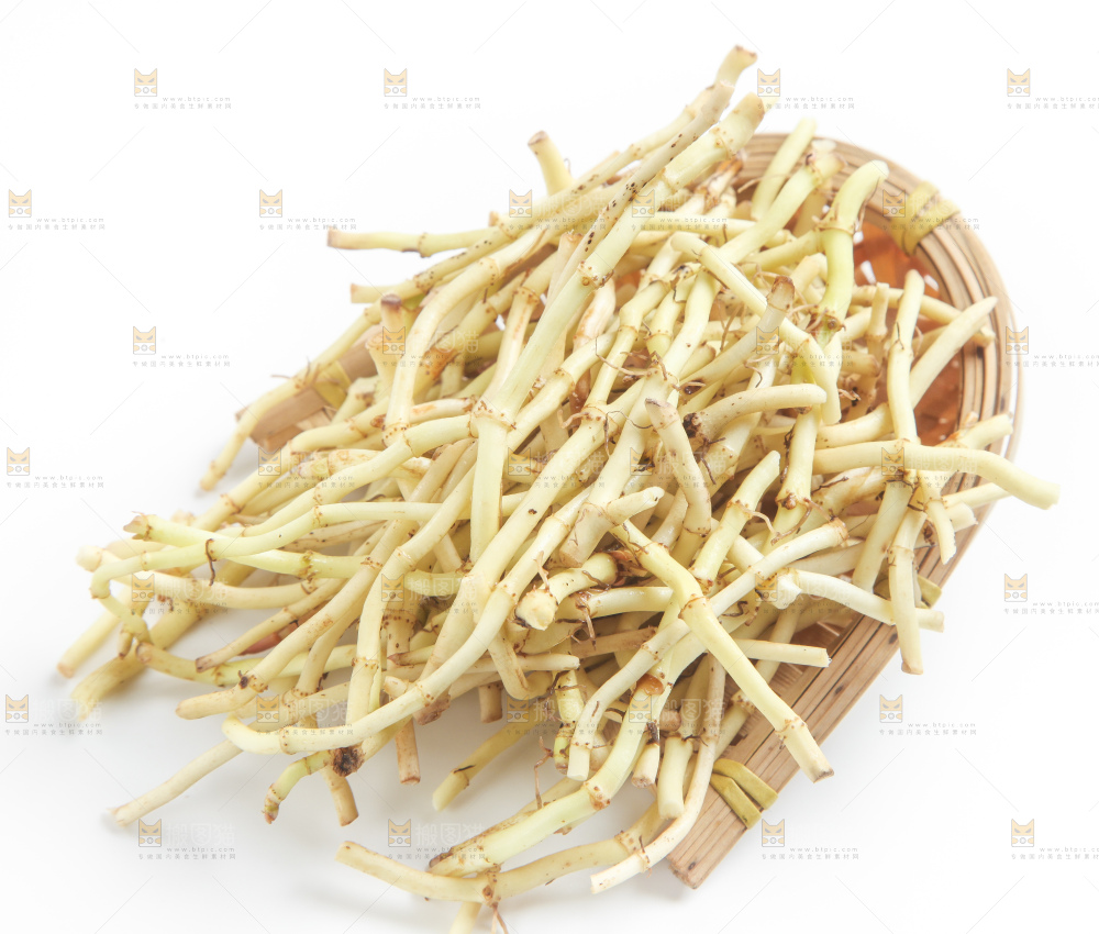 白底上的鱼腥草
