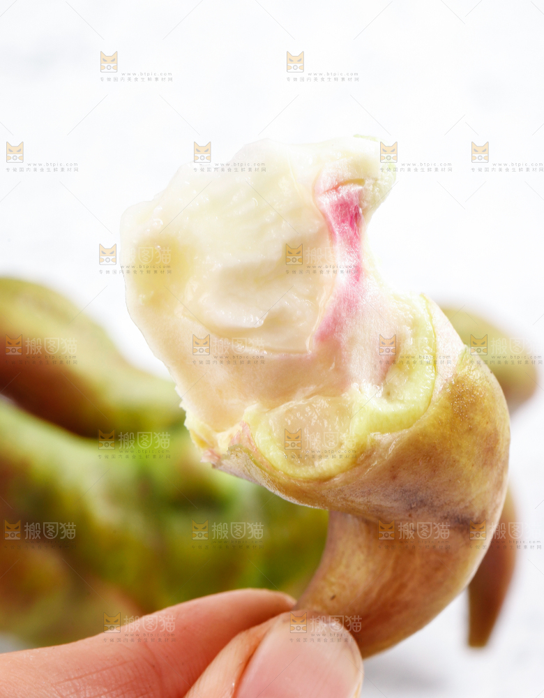手里拿着新鲜菱角