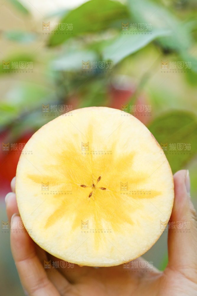 手里拿着新疆冰糖心苹果