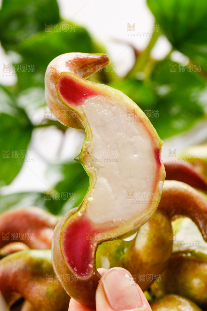手里拿着新鲜菱角