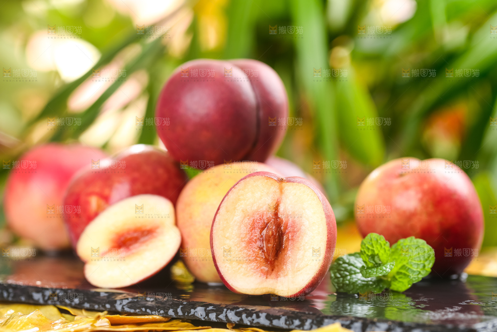 黑石板上的沂蒙冬桃