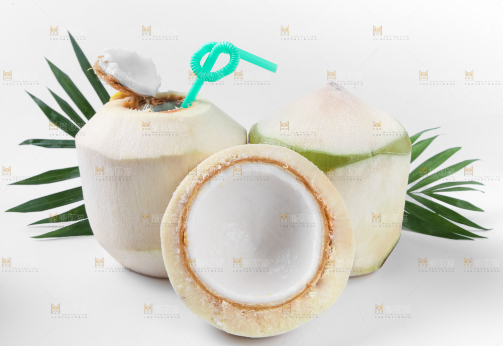 白底上青椰子