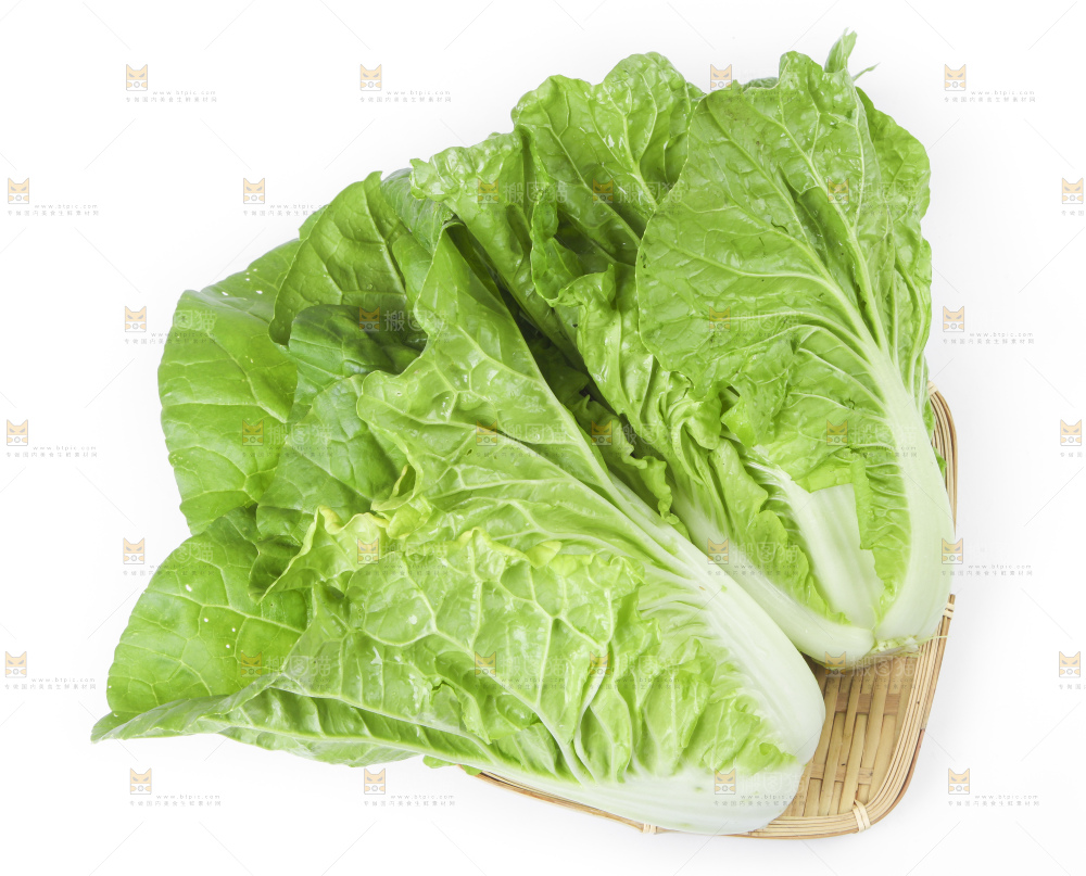 篮子里装着白菜