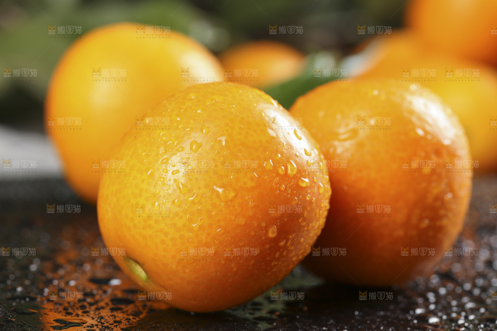 黑石板上的广西金钱橘